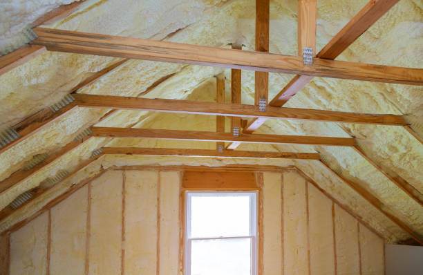Best Residential Insulation in Aventura, FL