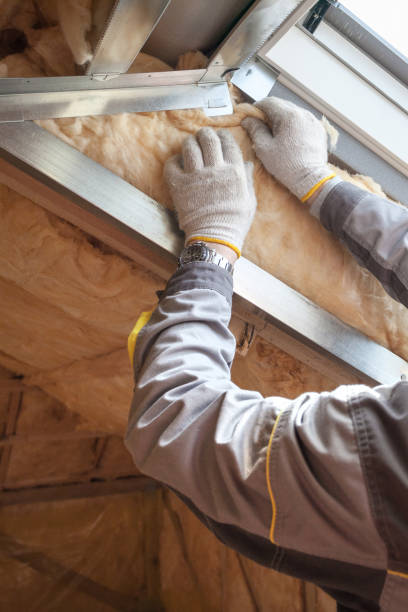 Best Insulation Installation Services in Aventura, FL